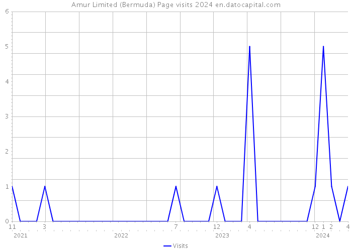 Amur Limited (Bermuda) Page visits 2024 