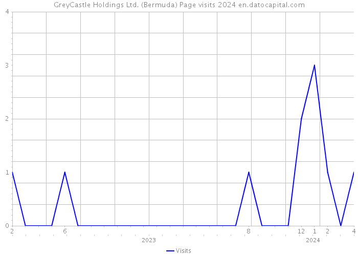 GreyCastle Holdings Ltd. (Bermuda) Page visits 2024 