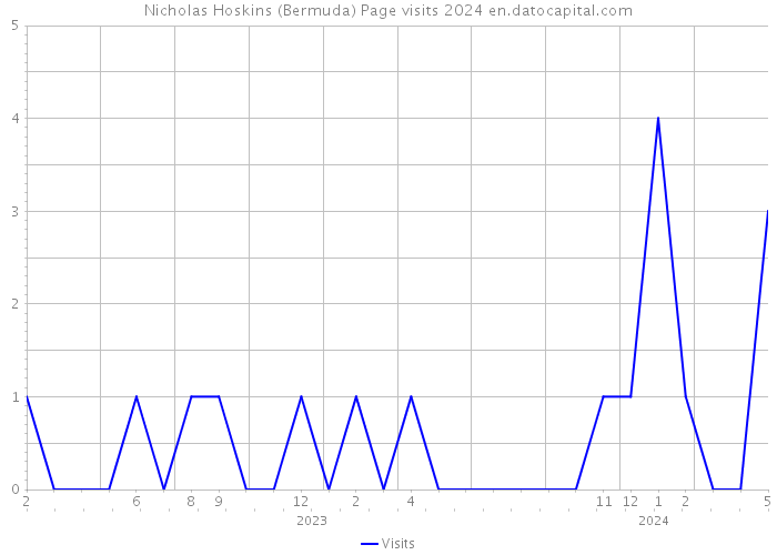 Nicholas Hoskins (Bermuda) Page visits 2024 