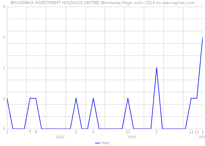 BRUNSWICK INVESTMENT HOLDINGS LIMITED (Bermuda) Page visits 2024 