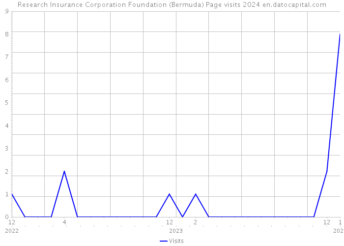 Research Insurance Corporation Foundation (Bermuda) Page visits 2024 