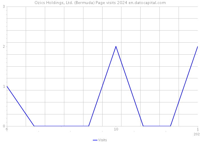 Ozics Holdings, Ltd. (Bermuda) Page visits 2024 