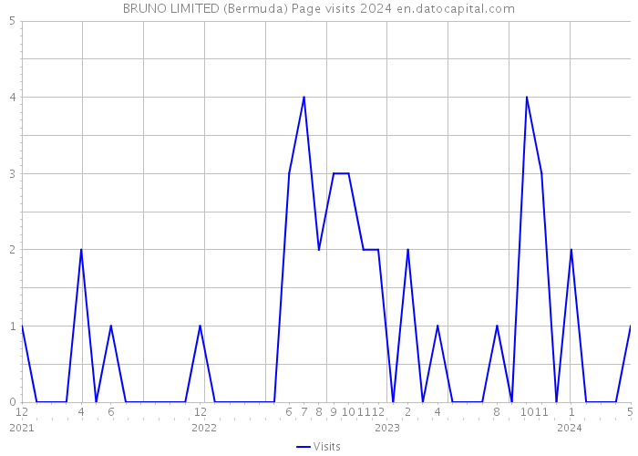 BRUNO LIMITED (Bermuda) Page visits 2024 