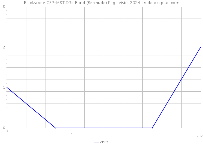 Blackstone CSP-MST DRK Fund (Bermuda) Page visits 2024 
