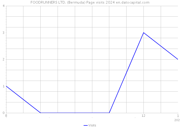 FOODRUNNERS LTD. (Bermuda) Page visits 2024 