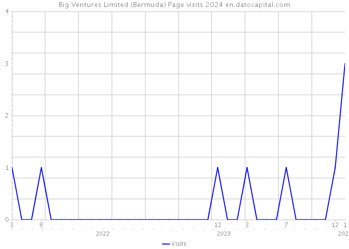 Big Ventures Limited (Bermuda) Page visits 2024 