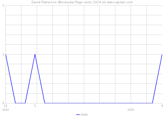 David Patterson (Bermuda) Page visits 2024 