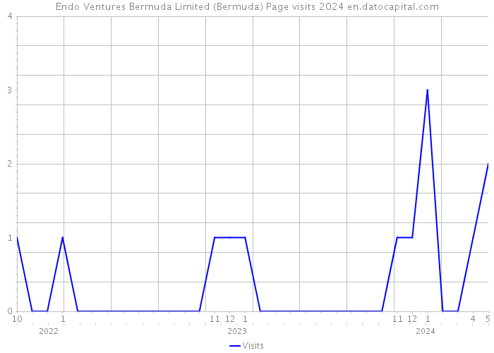 Endo Ventures Bermuda Limited (Bermuda) Page visits 2024 