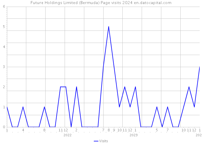 Future Holdings Limited (Bermuda) Page visits 2024 