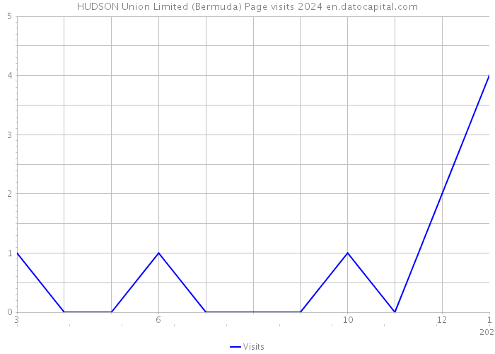 HUDSON Union Limited (Bermuda) Page visits 2024 