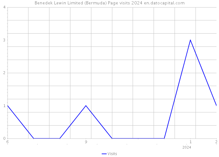 Benedek Lewin Limited (Bermuda) Page visits 2024 