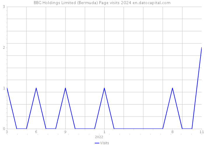 BBG Holdings Limited (Bermuda) Page visits 2024 