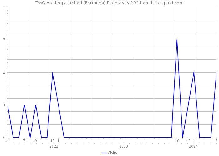 TWG Holdings Limited (Bermuda) Page visits 2024 
