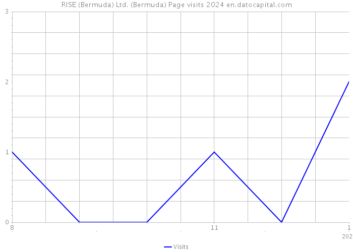 RISE (Bermuda) Ltd. (Bermuda) Page visits 2024 