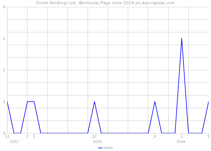 Dolmi Holdings Ltd. (Bermuda) Page visits 2024 