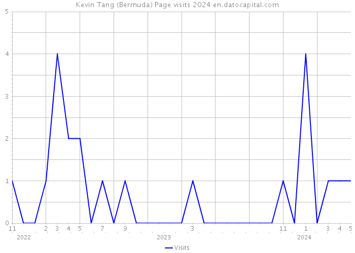 Kevin Tang (Bermuda) Page visits 2024 