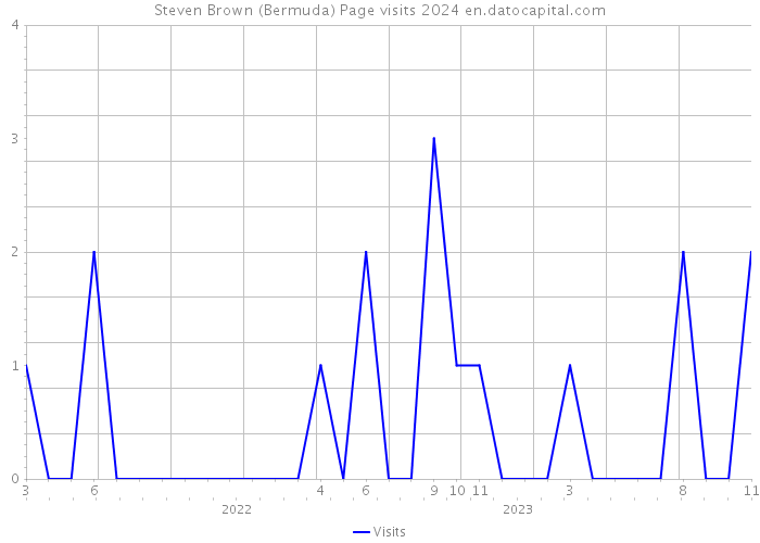 Steven Brown (Bermuda) Page visits 2024 