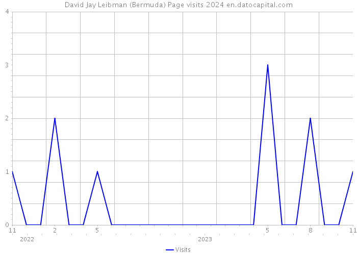 David Jay Leibman (Bermuda) Page visits 2024 