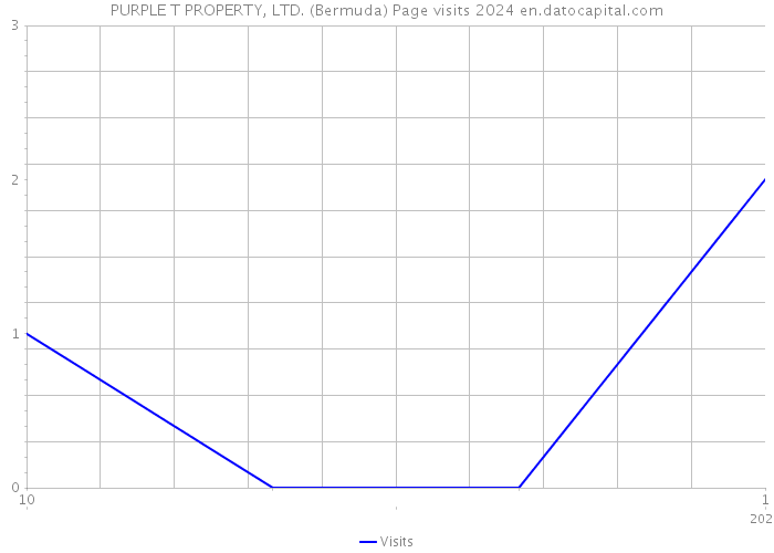 PURPLE T PROPERTY, LTD. (Bermuda) Page visits 2024 
