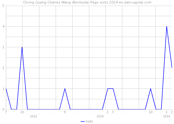 Chong Guang Charles Wang (Bermuda) Page visits 2024 