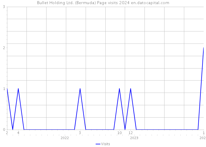 Bullet Holding Ltd. (Bermuda) Page visits 2024 