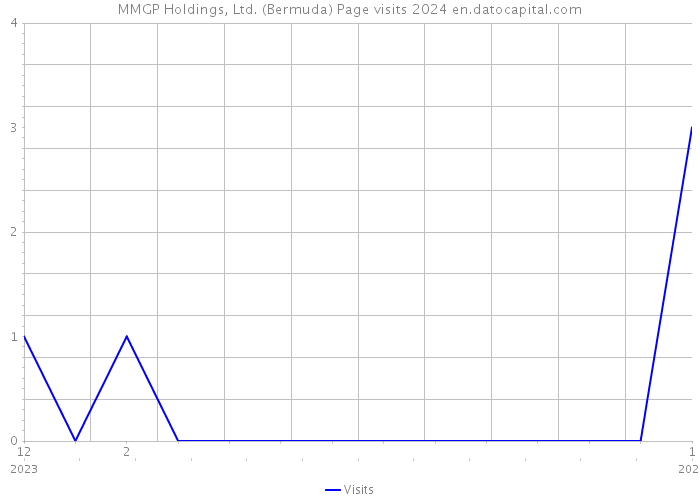MMGP Holdings, Ltd. (Bermuda) Page visits 2024 