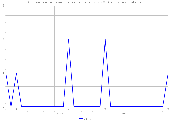 Gunnar Gudlaugsson (Bermuda) Page visits 2024 