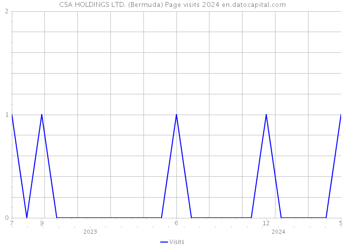 CSA HOLDINGS LTD. (Bermuda) Page visits 2024 