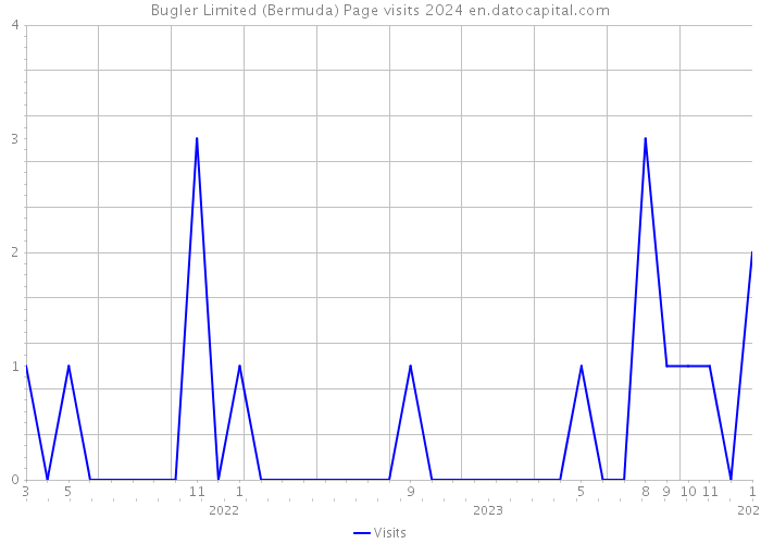 Bugler Limited (Bermuda) Page visits 2024 