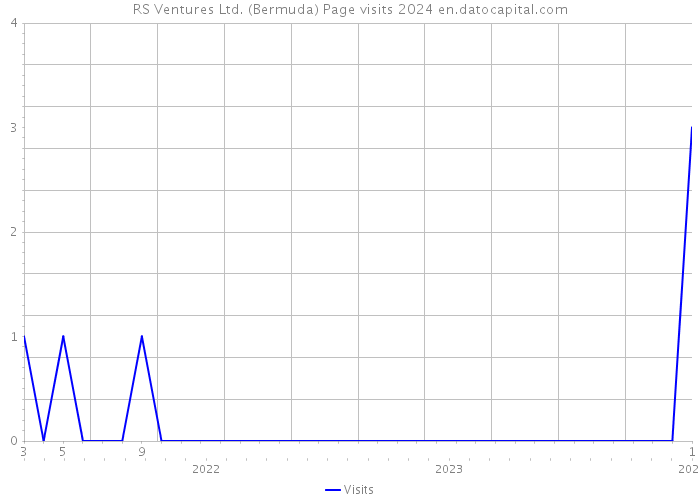 RS Ventures Ltd. (Bermuda) Page visits 2024 