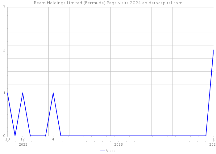 Reem Holdings Limited (Bermuda) Page visits 2024 
