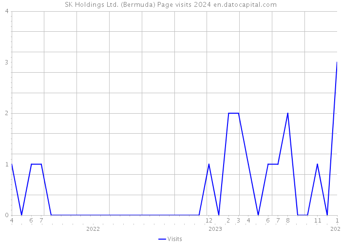 SK Holdings Ltd. (Bermuda) Page visits 2024 