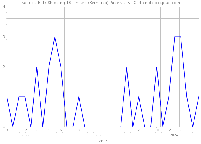 Nautical Bulk Shipping 13 Limited (Bermuda) Page visits 2024 