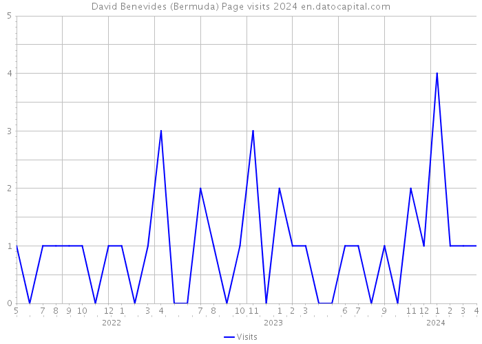 David Benevides (Bermuda) Page visits 2024 