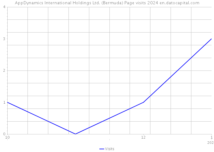 AppDynamics International Holdings Ltd. (Bermuda) Page visits 2024 
