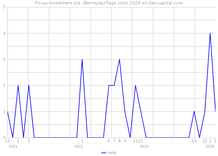 Focus Investment Ltd. (Bermuda) Page visits 2024 