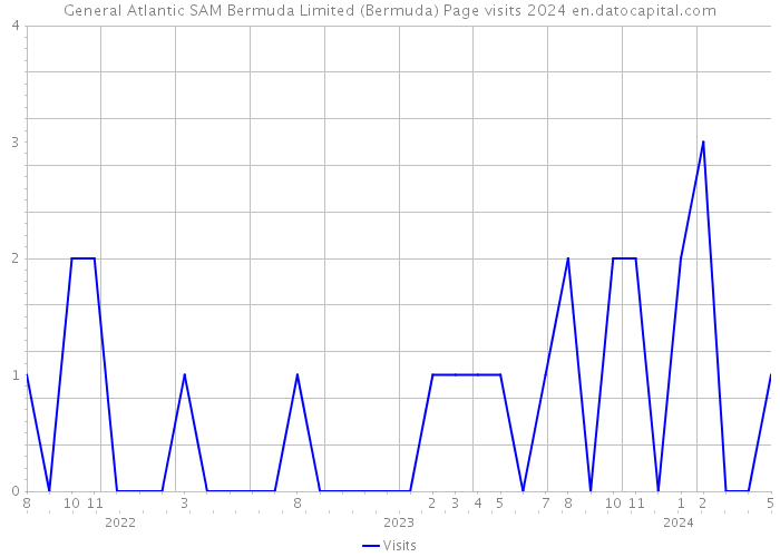 General Atlantic SAM Bermuda Limited (Bermuda) Page visits 2024 