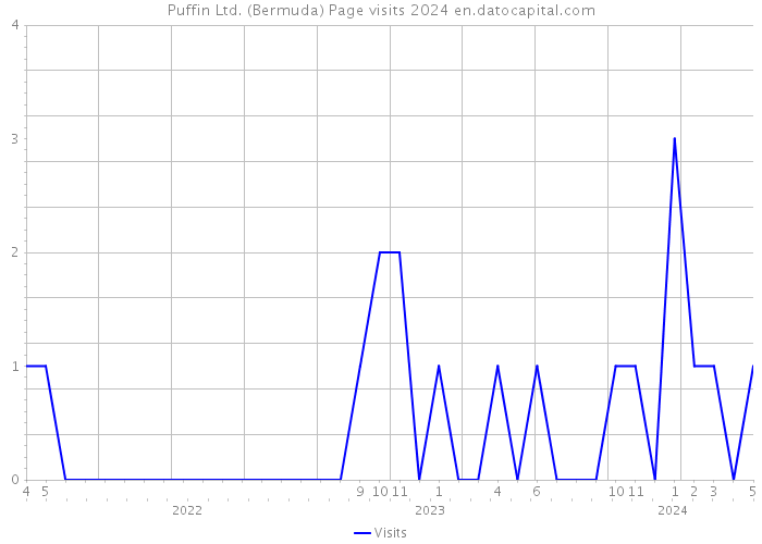 Puffin Ltd. (Bermuda) Page visits 2024 
