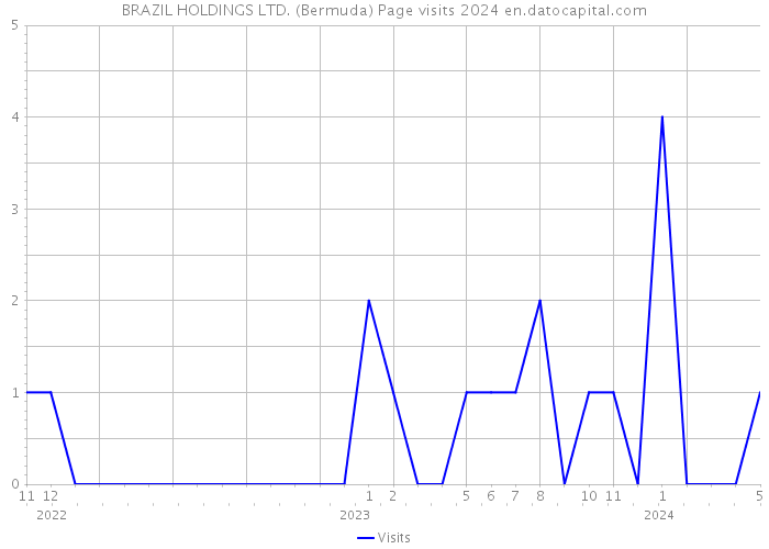 BRAZIL HOLDINGS LTD. (Bermuda) Page visits 2024 