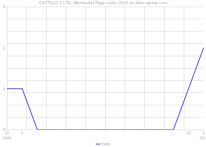 CASTILLO 1 LTD. (Bermuda) Page visits 2024 