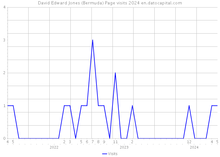 David Edward Jones (Bermuda) Page visits 2024 