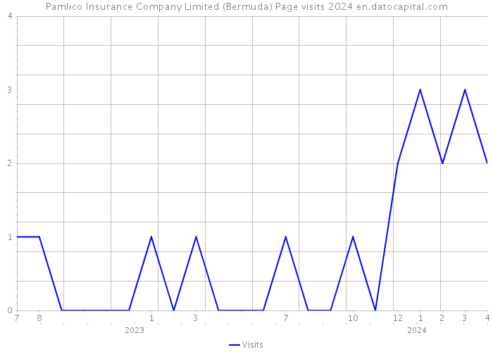 Pamlico Insurance Company Limited (Bermuda) Page visits 2024 