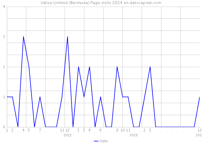 Valise Limited (Bermuda) Page visits 2024 