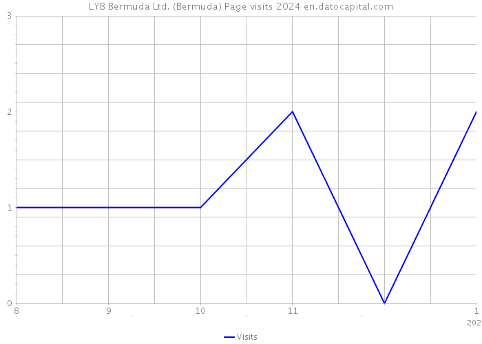 LYB Bermuda Ltd. (Bermuda) Page visits 2024 