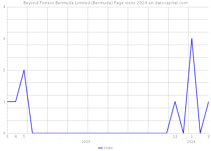 Beyond Fitness Bermuda Limited (Bermuda) Page visits 2024 