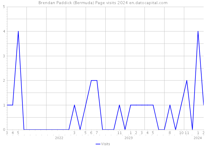 Brendan Paddick (Bermuda) Page visits 2024 