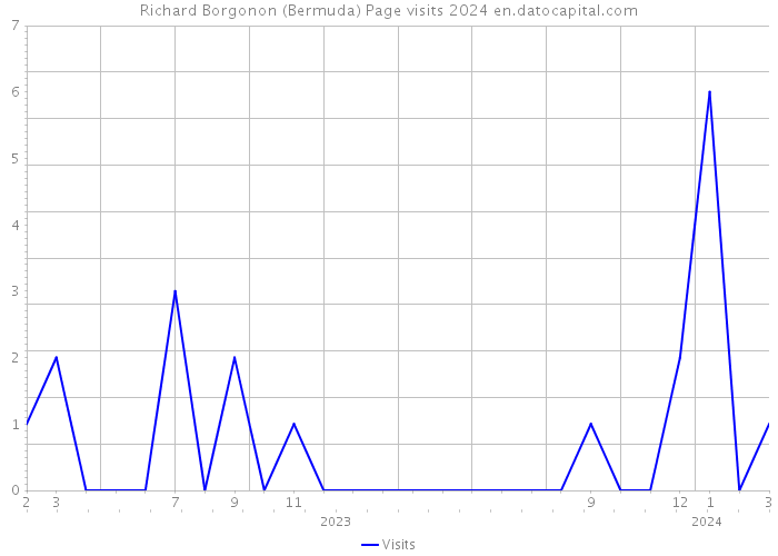 Richard Borgonon (Bermuda) Page visits 2024 