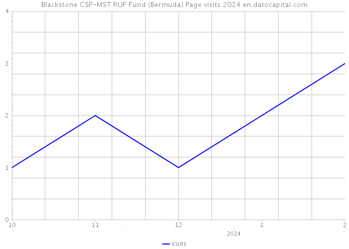Blackstone CSP-MST RUF Fund (Bermuda) Page visits 2024 
