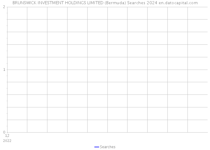 BRUNSWICK INVESTMENT HOLDINGS LIMITED (Bermuda) Searches 2024 