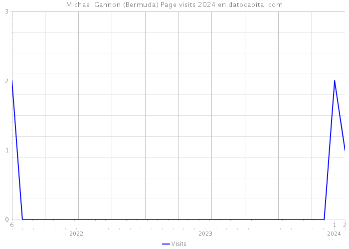 Michael Gannon (Bermuda) Page visits 2024 